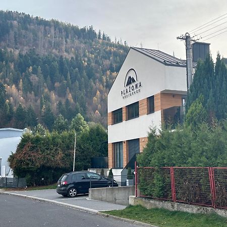 Plazowa Gray Apartament Szczyrk Dış mekan fotoğraf